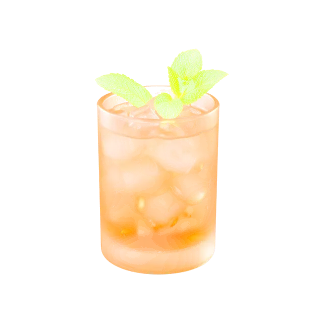 Mint Julep cocktail: pale amber drink over crushed ice in a frosted heavy glass tumbler, all glass, no metal, with a big mint sprig
